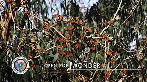 1.4K views · 47 reactions | Highway 1 is the most incredible road trip in California. Visit now! | California Highway 1 Road Trip | Facebook