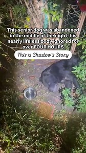 45K views · 1.6K reactions | Photos Of Nearly Lifeless 11-Yr-Old...