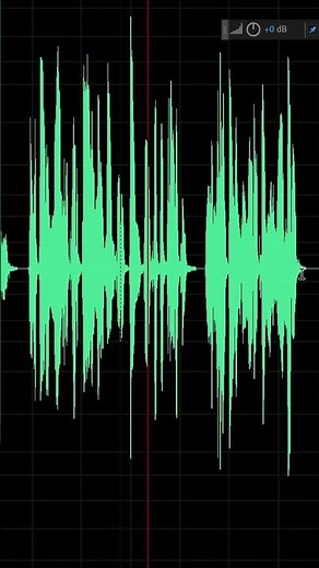 How to Edit Your Voice Like a Pro: Adobe Audition Tutorial
