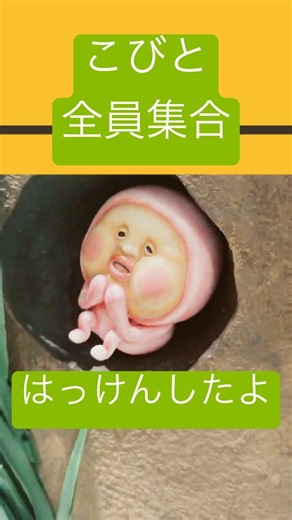 【癒し】こびとにあえたよ♪ #こびと全員集合 #レイクタウン #こびとづかん #こびと図鑑 # #aiじゃない