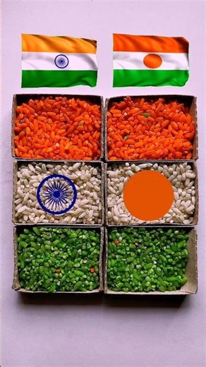 India 🇮🇳 and Niger 🇳🇪 Flag Rice Art | Amazing Coin & Rice Art #shorts