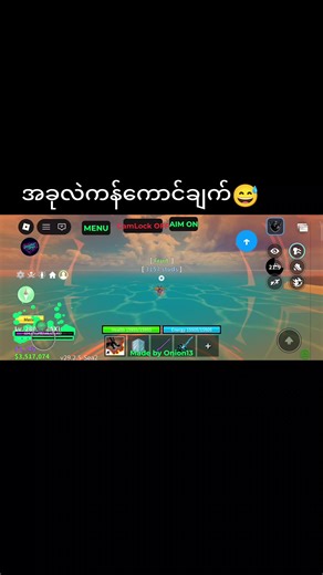 Blox Fruit Gameplay Tips and Tricks