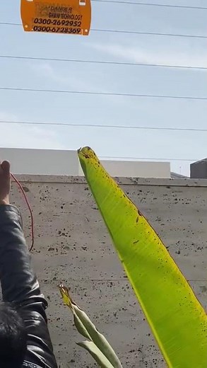 Electric Fence System Installation & Alarm Demo | High Security Solution #dahua #firesafety