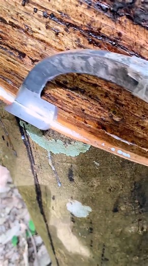 Amazing working skills 👍 #Amazing #working #skills #amazingvideos | Amazing videos