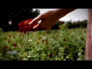 André Rieu - Lippen Schweigen (The Merry Widow)