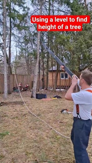 How to determine the height of a tree using a level #treework #diytips #tooltips #arborist #trees