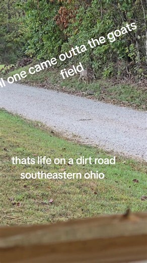 David Evans on Reels