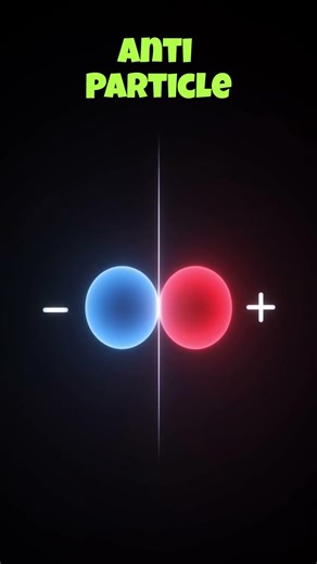 What Is an Antiparticle? Particle's Mirror Twin