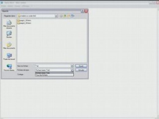 Comment insérer un code html dans une page word