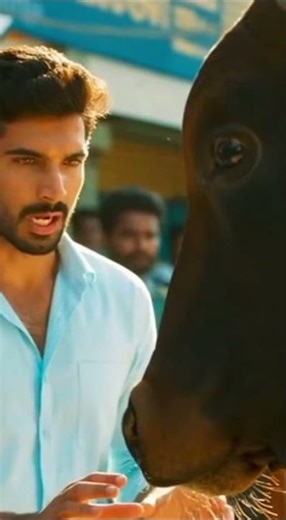 😶 Angry Bull Charges Dog and Man – Watch What Happens! #bull #animal