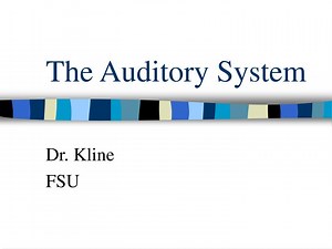 The Auditory System - SlideServe