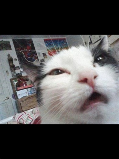 Learn Languages with HelloTalk Friends