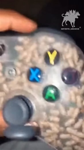 Instagram video by Bird game 3 • Feb 11, 2026 at 11:59 PM