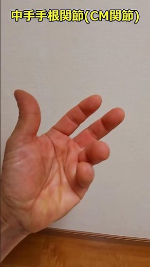 身体開発 (手根骨と中手骨の操作260710)