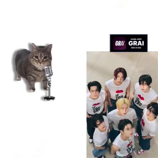 ENHYPEN - BAD DESIRE X Oiia cat remix #remix #cat #enhypen #uia #oiiaiiooiiai