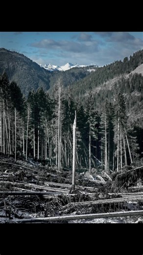 Understanding Environmental Damage and Its Impact