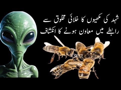 Honey Bees Can Do Math – A New Universal Language for Contacting Aliens ?