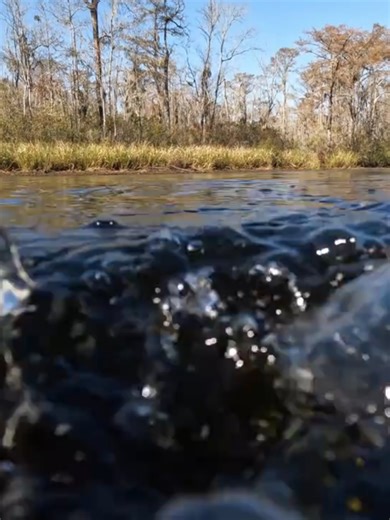 Underwater Treasure Hunting Adventures in Snake River