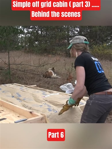 Simple Off Grid Cabin (Part 3) – Behind the Scenes | Part 6 #OffGridCabin #CabinBuild #BehindTheScenes #HomesteadLife #DIY