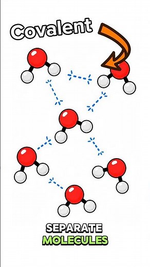 Properties of Covalent Compounds