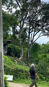 Tarik Tarik Tarik.... | Rayner ray