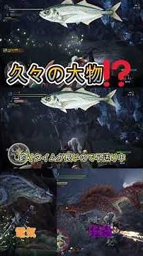 モンスターハンターワールドアイスボーン：大物getなるか⁉