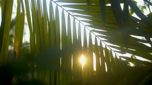 Envision Festival on Reels