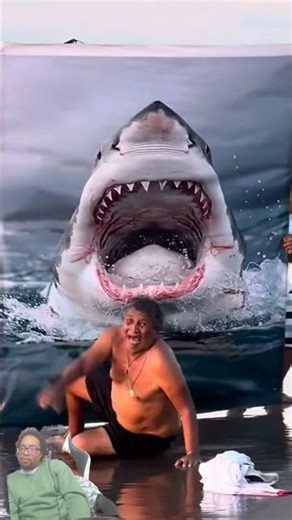 💦 The Aquatic Image – The Moment NO ONE Expected Underwater! 🤯🌊🤣 #funny #prank