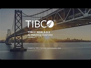 AI Matching in TIBCO MDM