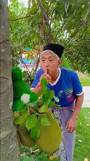 screaming lizard #shorts #viral #funny