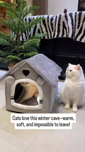 1.1K views · 5 comments | #PetWinterBed #CatCave #WarmCatHouse #CozyForCats #CatLovers #PetEssentials #WinterMustHave | Cats Days | Facebook