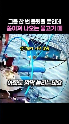 그물 한 번 돌렸을 뿐인데 쏟아져 나오는 물고기 떼ㄷㄷ