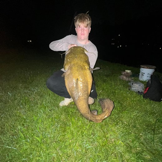 Tennessee coon hunting | ‼️UFD‼️ 6 year old walker female up for sale $850 she’s around 75% accurate she will tree coons but does miss some here an there nothing to... | Facebook