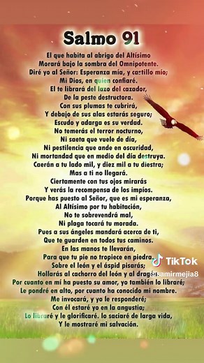 Salmo 91 Completo - Oración de Protección para Católicos