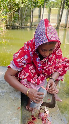 920K views · 9.5K reactions | Blog-446 আসসালামু আলাইকুম। খুশি আপা আজকে অনেক খুশি। #fypシ゚viralシfypシ゚ #followerseveryone #foryouシpage #tumpalifestyle #dailyblogging #trendingvideo #vairalvideoシ | Tumpa Lifestyle | Facebook