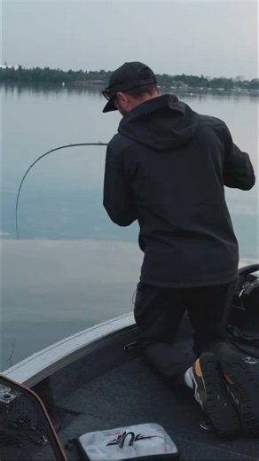 Every fish counts!