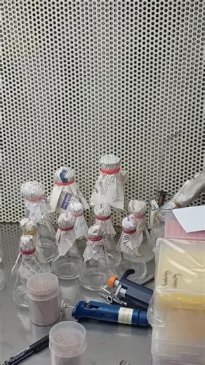 Laminar air flow cabinet #microbiology #bacteria #culture #microbes #pathogen