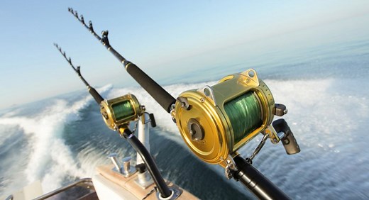 Can You Use Freshwater Reels in Saltwater: Here's The Answer - Skilled Angler