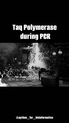 Ashish Singh on Instagram: "Taq polymerase is an enzyme that helps make new DNA strands during PCR. It comes from a heat-loving bacterium called Thermus aquaticus, so it does not get destroyed at high temperatures. During PCR, the reaction is heated up to 95°C, and Taq polymerase survives these heat cycles. Taq works best at 72°C, where it adds DNA building blocks (dNTPs) to copy the target DNA. It is commonly used in PCR because it is stable, fast, and easy to use, even though it can make small