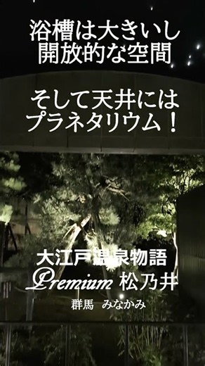【大江戸温泉物語Premium松乃井の貸切露天風呂がマジでヤバい】45分3000円満足度スゴい ＃貸切り露天風呂 ＃大江戸温泉 ＃みなかみ