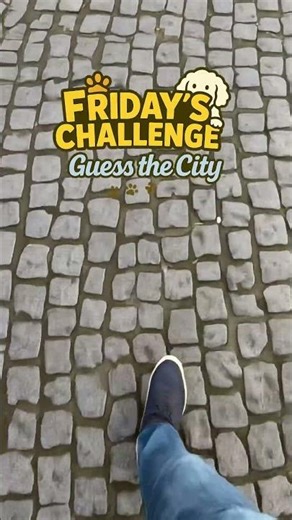 Friday the Labradoodle challenge 27DEC. Guess the City! #dog #challenge #funny #travel #city