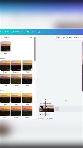 Canva: Apply & Customize Video Filters (Step-by-Step)