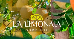 La Limonaia Sorrento - A green oasis in the center of Sorrento