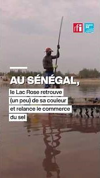 Sénégal : le Lac Rose retrouve un peu de sa couleur et relance l’économie du sel • RFI