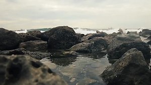 Watch Essential Oil Uses and Benefits on Amazon Live