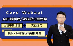【全新】Core Webapi搭建企业级后台业务系统, 整合IOC+EFCore+分层架构.解读CoreWebapi跨域请求的原理 B1147