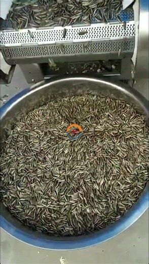 Automatic sunflower seed continuous roasting machine popcorn puffed rice electric continous roaster