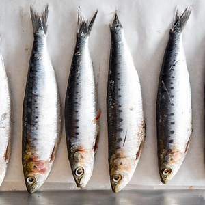 Are sardines cleaned before canning? [2025] | QAQooking.wiki