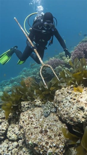 Underwater diving fishing with me #underwater #fishing