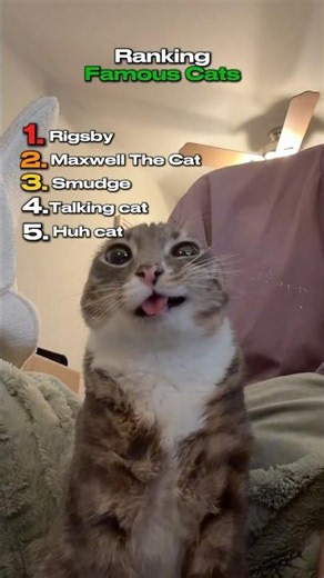 Ranking Legendary Cats: From Maxwell to Smudge 🐈 #famouscats #shorts